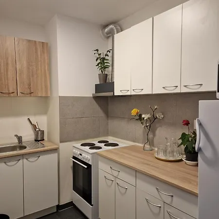 Work 布拉迪斯拉发